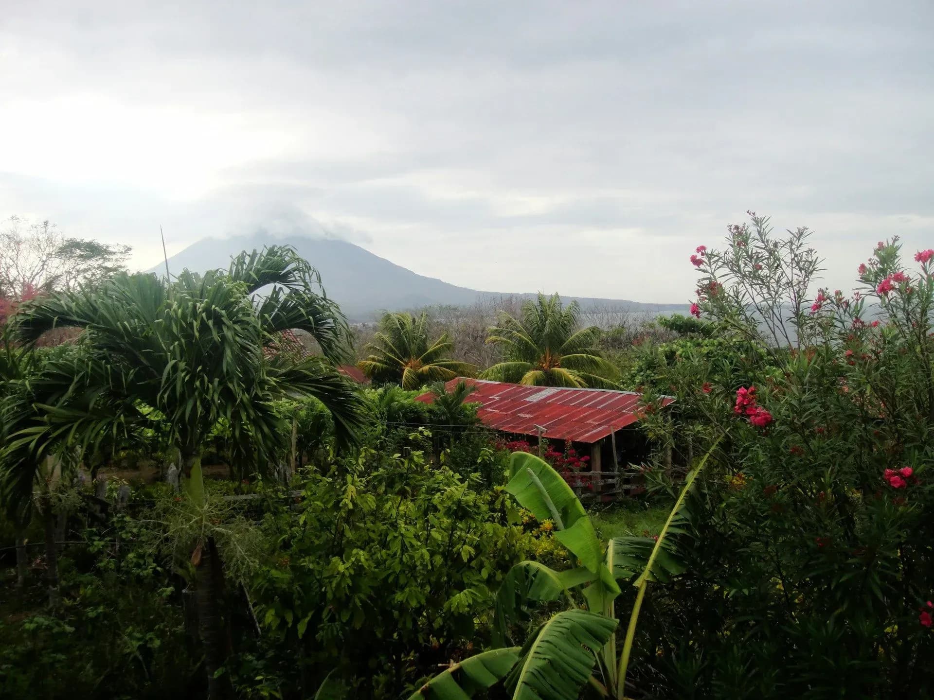 Corporate Retreat Venue with lush tropical gardens and a distant mountain view.