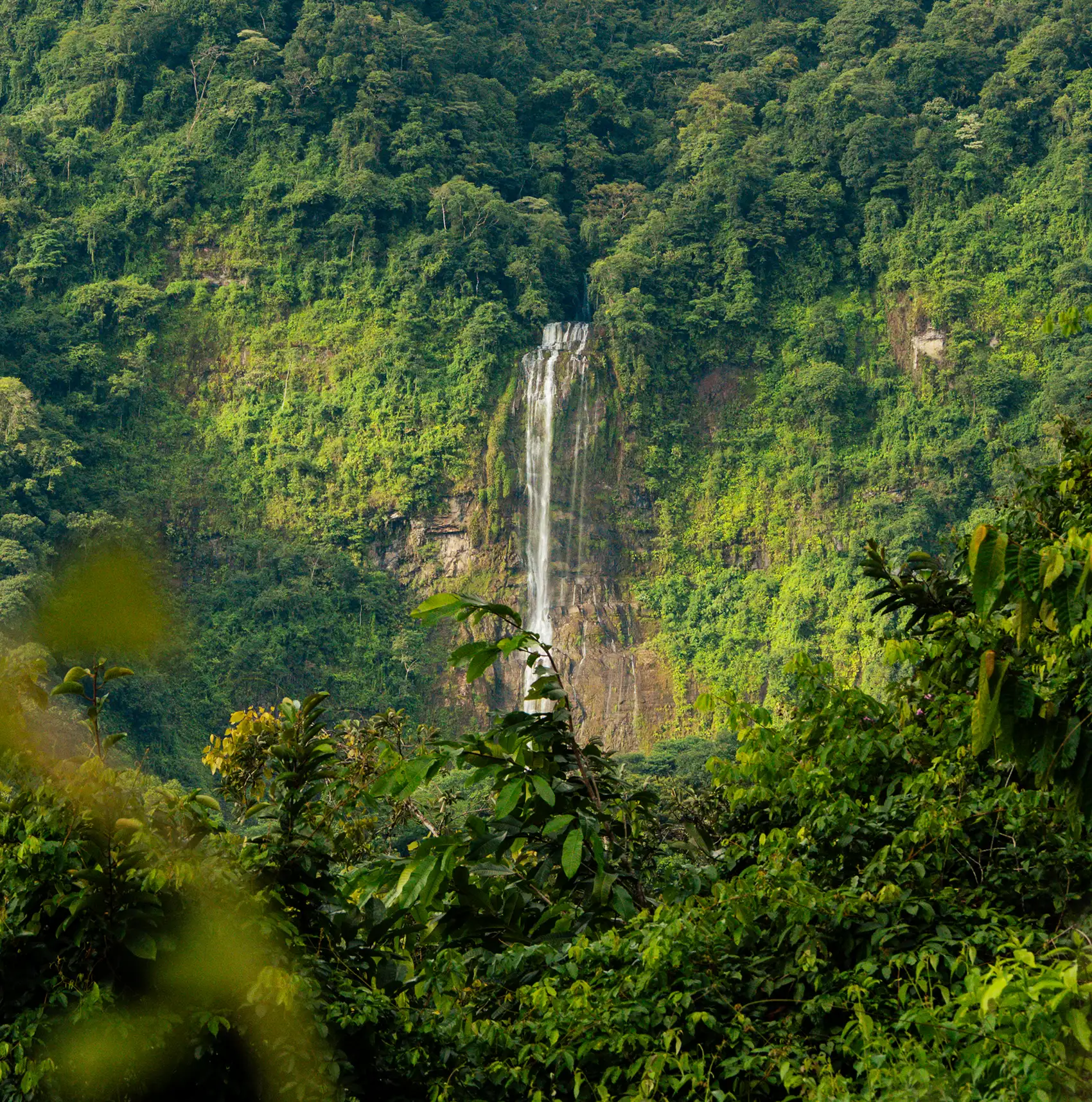 The stunning Diamante Waterfall, which can be seen from Vajra Jahra's Costa Rica retreat center.