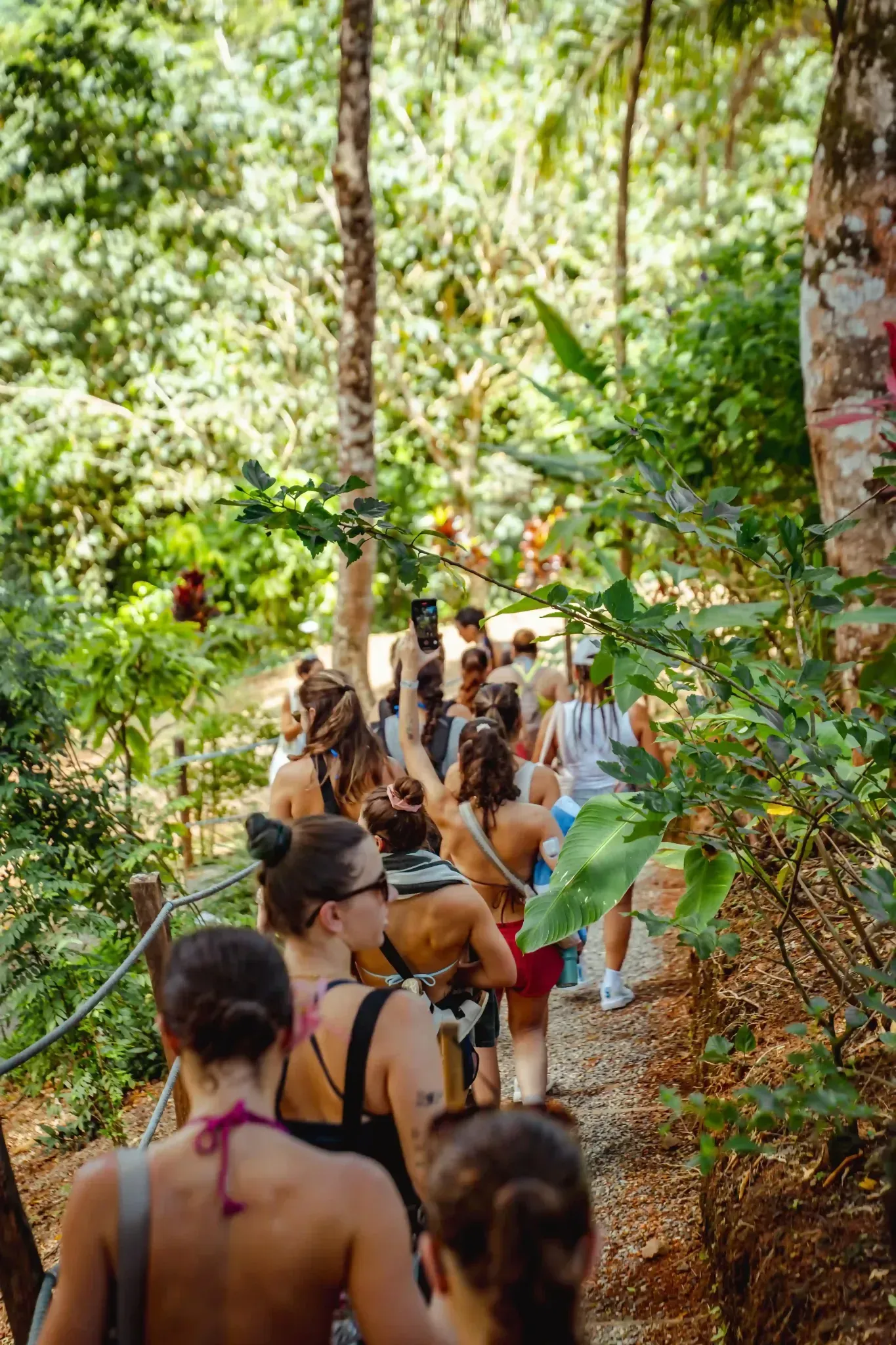 Group hiking through lush jungle trails near Vajra Jahra Retreat Center, a nature experience ideal for Family Reunion Vacation Rentals.