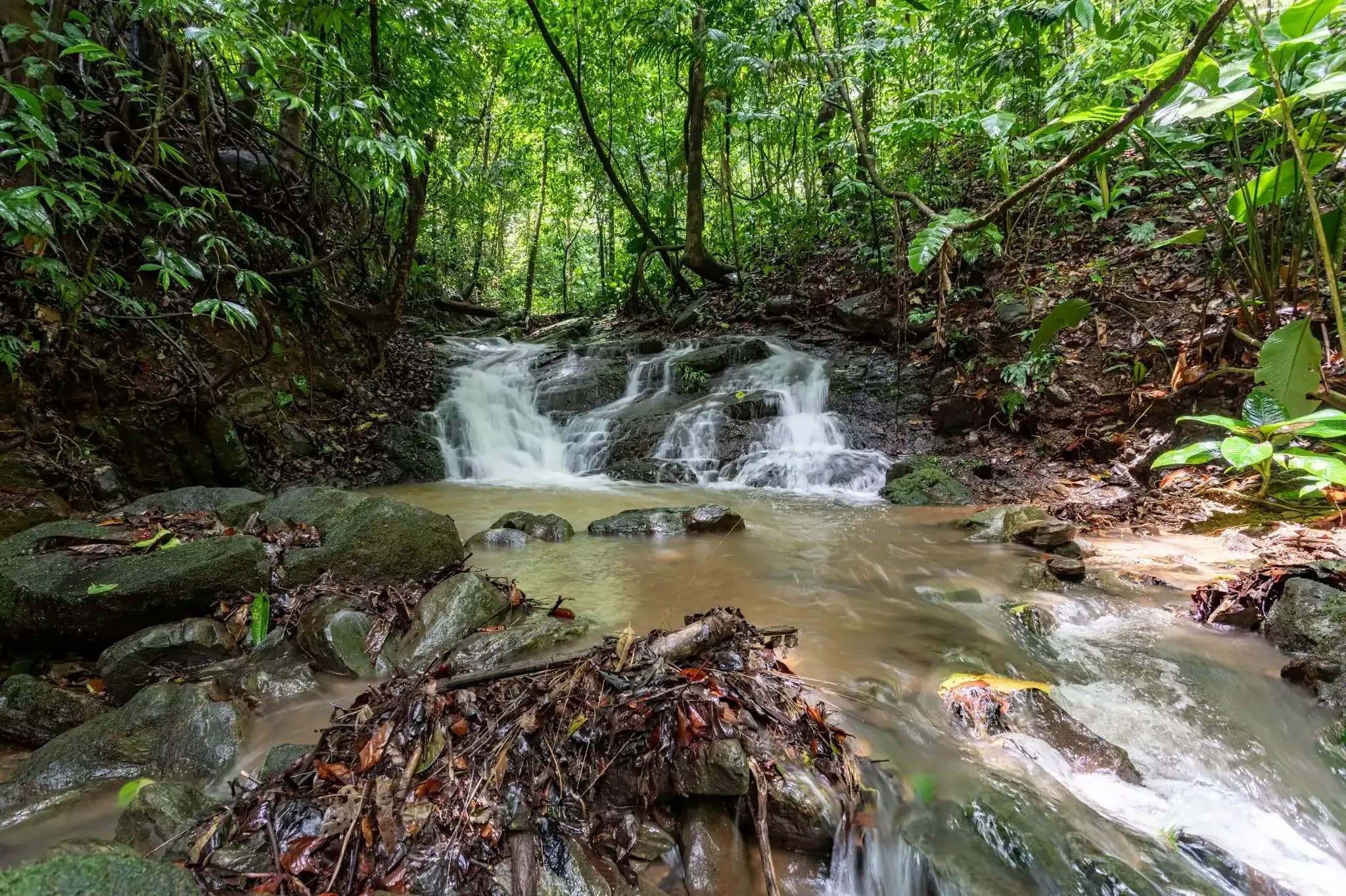 Peaceful jungle stream flowing over rocks at Vajra Jahra Retreat Center, highlighting the natural serenity of a Costa Rica retreat center.