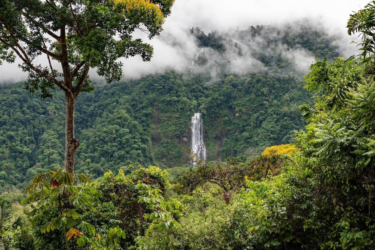 diamante waterfall jungle view at costa rica retreat center